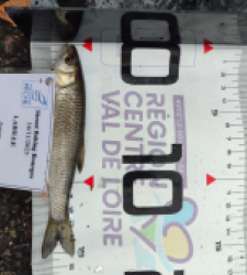 photo prise 52302 par AaronPike