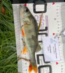 photo prise 52303 par matheochevrier1410