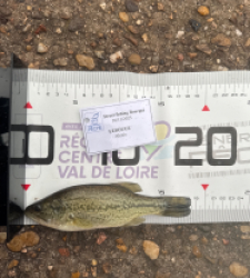 photo prise 52304 par 