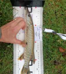 photo prise 52305 par 