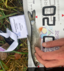 photo prise 52306 par Tim fish 