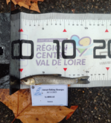 photo prise 52309 par AaronPike