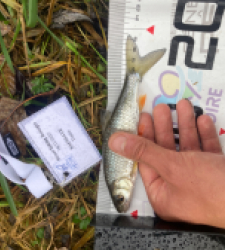 photo prise 52313 par Tim fish 