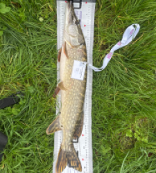 photo prise 52311 par louis.lesec