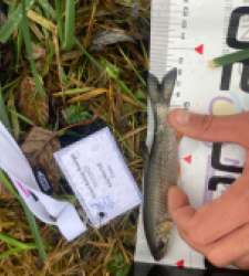 photo prise 52312 par Tim fish 