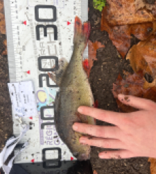 photo prise 52314 par 