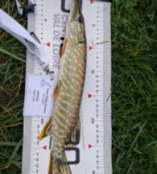 photo prise 52315 par JLP