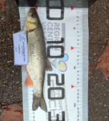 photo prise 52316 par AaronPike