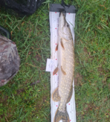 photo prise 52317 par 