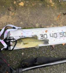 photo prise 52318 par mariecanetta