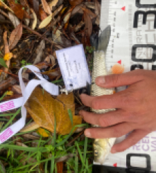 photo prise 52319 par Tim fish 