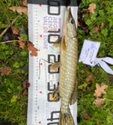 photo prise 52321 par Anthony D