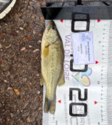 photo prise 52322 par 