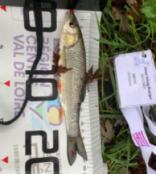 photo prise 52323 par Guillaumedeuss