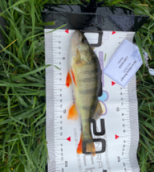 photo prise 52324 par matheochevrier1410