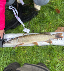 photo prise 52325 par Tutur