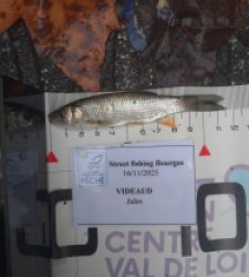 photo prise 52326 par julo_vido