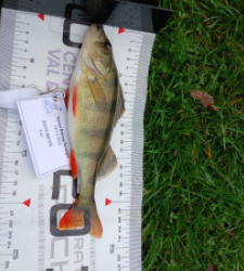 photo prise 52327 par LukyLuke