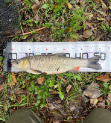 photo prise 52328 par Alan_Ofish