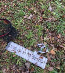 photo prise 52329 par Alan_Ofish