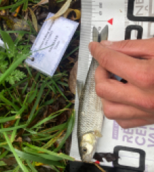 photo prise 52330 par Tim fish 