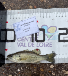 photo prise 52331 par 