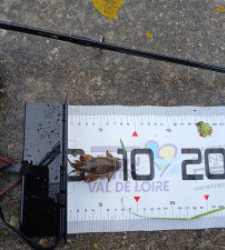 photo prise 52332 par LukyLuke