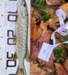 photo prise 52338 par Stephane MOUGIN