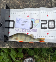 photo prise 52340 par 