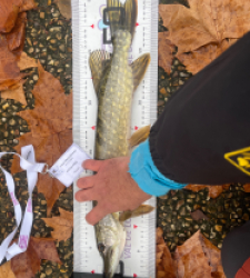 photo prise 52341 par Mika