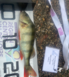 photo prise 52343 par Anthony D