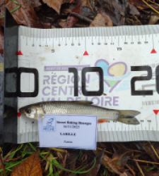 photo prise 52344 par AaronPike