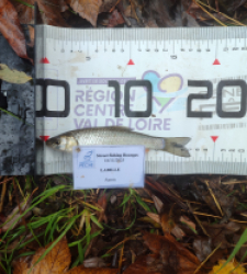 photo prise 52345 par AaronPike