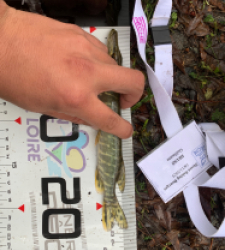 photo prise 52346 par Guillaumedeuss