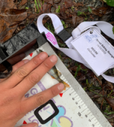 photo prise 52347 par Guillaumedeuss