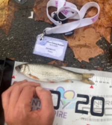 photo prise 52348 par Tim fish 