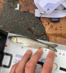 photo prise 52349 par Tim fish 