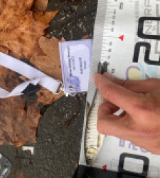 photo prise 52350 par Tim fish 