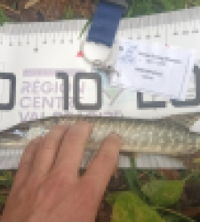 photo prise 52351 par adriensimonneau