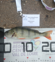 photo prise 52352 par Flo