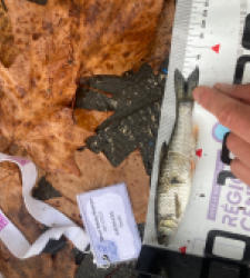 photo prise 52353 par Tim fish 