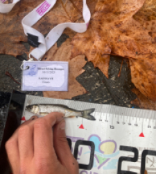 photo prise 52354 par Tim fish 