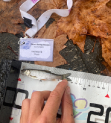 photo prise 52355 par Tim fish 