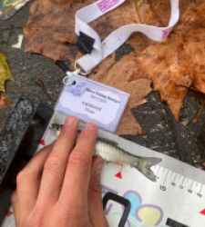 photo prise 52357 par Tim fish 