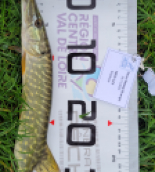 photo prise 52362 par Stephane MOUGIN