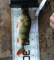 photo prise 52363 par LukyLuke