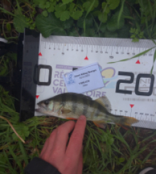 photo prise 52364 par julo_vido