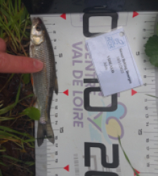 photo prise 52365 par julo_vido