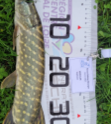 photo prise 52366 par Stephane MOUGIN