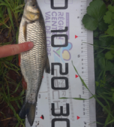 photo prise 52367 par julo_vido